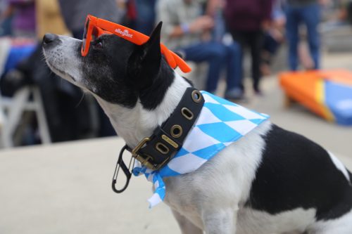 Allegiant-Air-Hospitality-Tourism