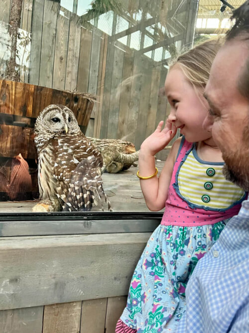 Family seeing owl exhibit at Audubon Nature Institute